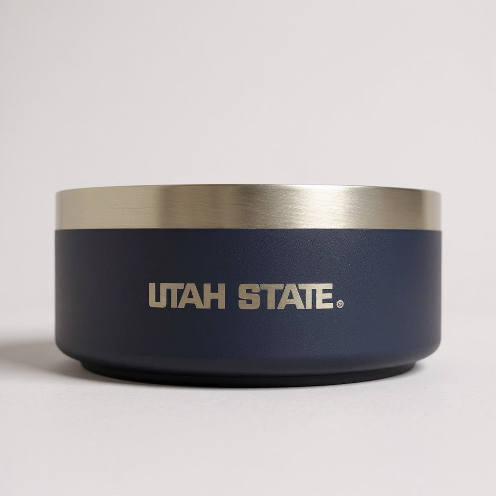 2 pk. Stainless Steel Dog Bowls