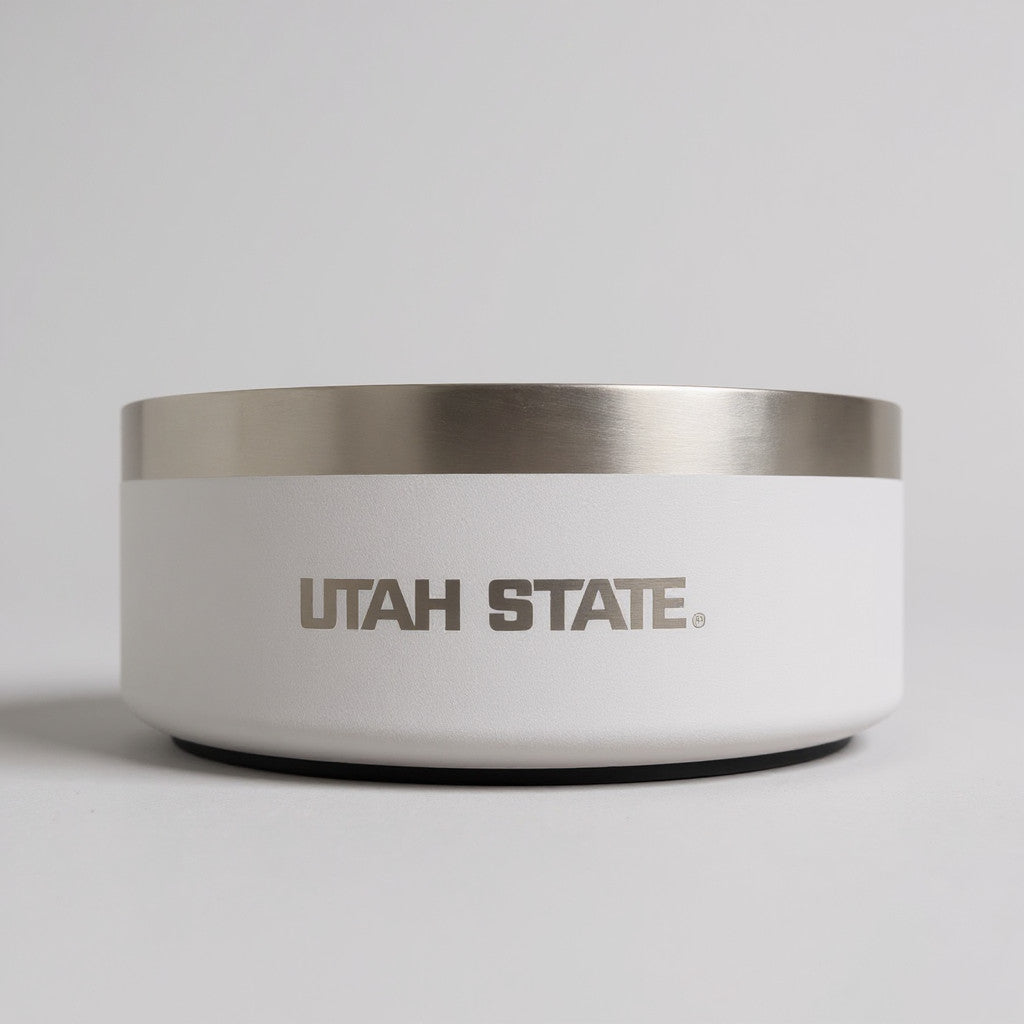 2 pk. Stainless Steel Dog Bowls